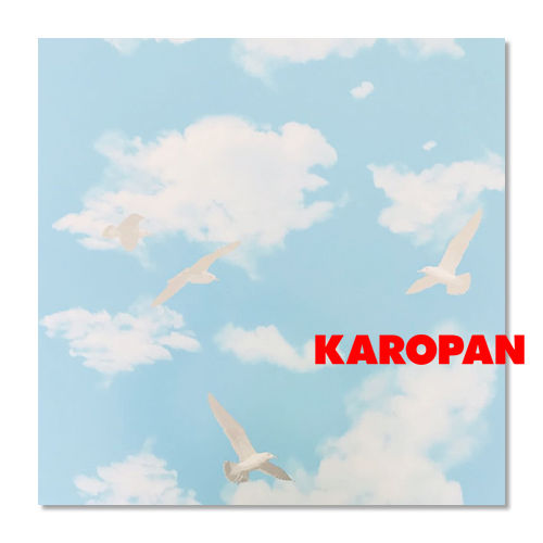 kuslu-gokyuzu-pvc-panel.jpg Kuşlu Gökyüzü Desen PVC Panel